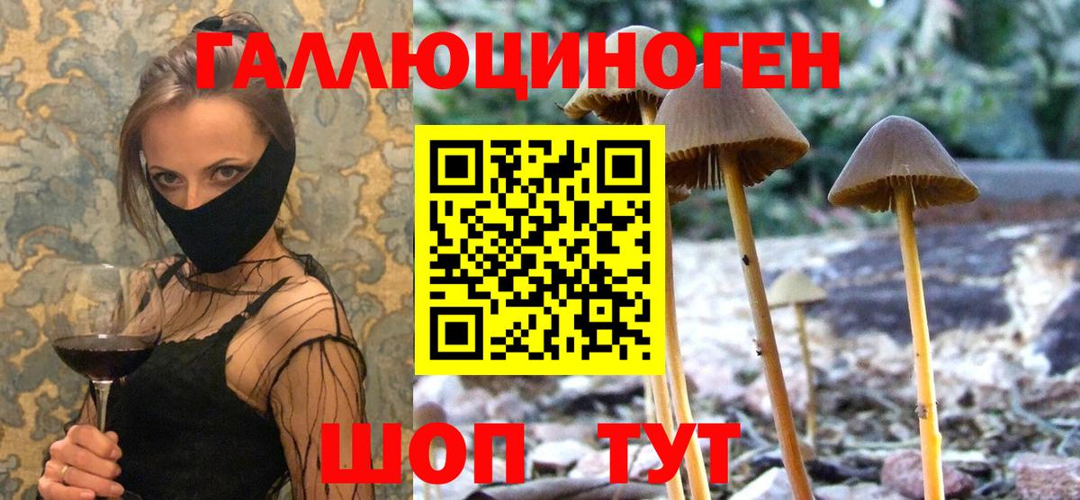 Клин  Галлюциногенные грибы MAGIC MUSHROOMS  Вход с VPN 