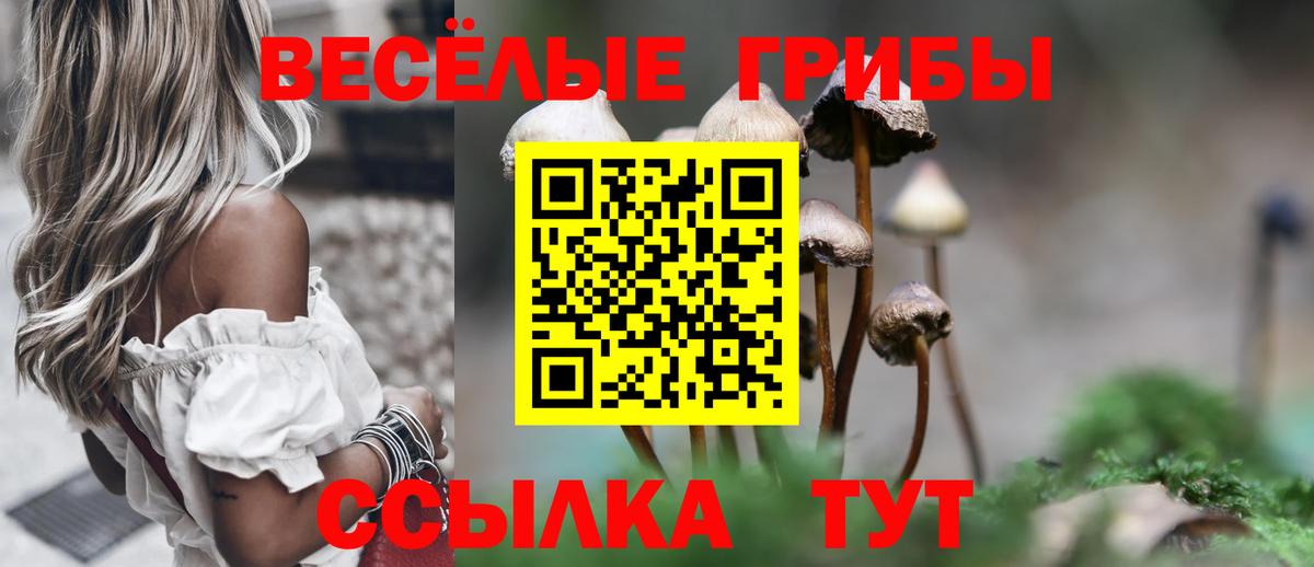 Галлюциногенные грибы Psilocybine cubensis Клин